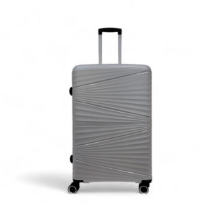 Valise Grise